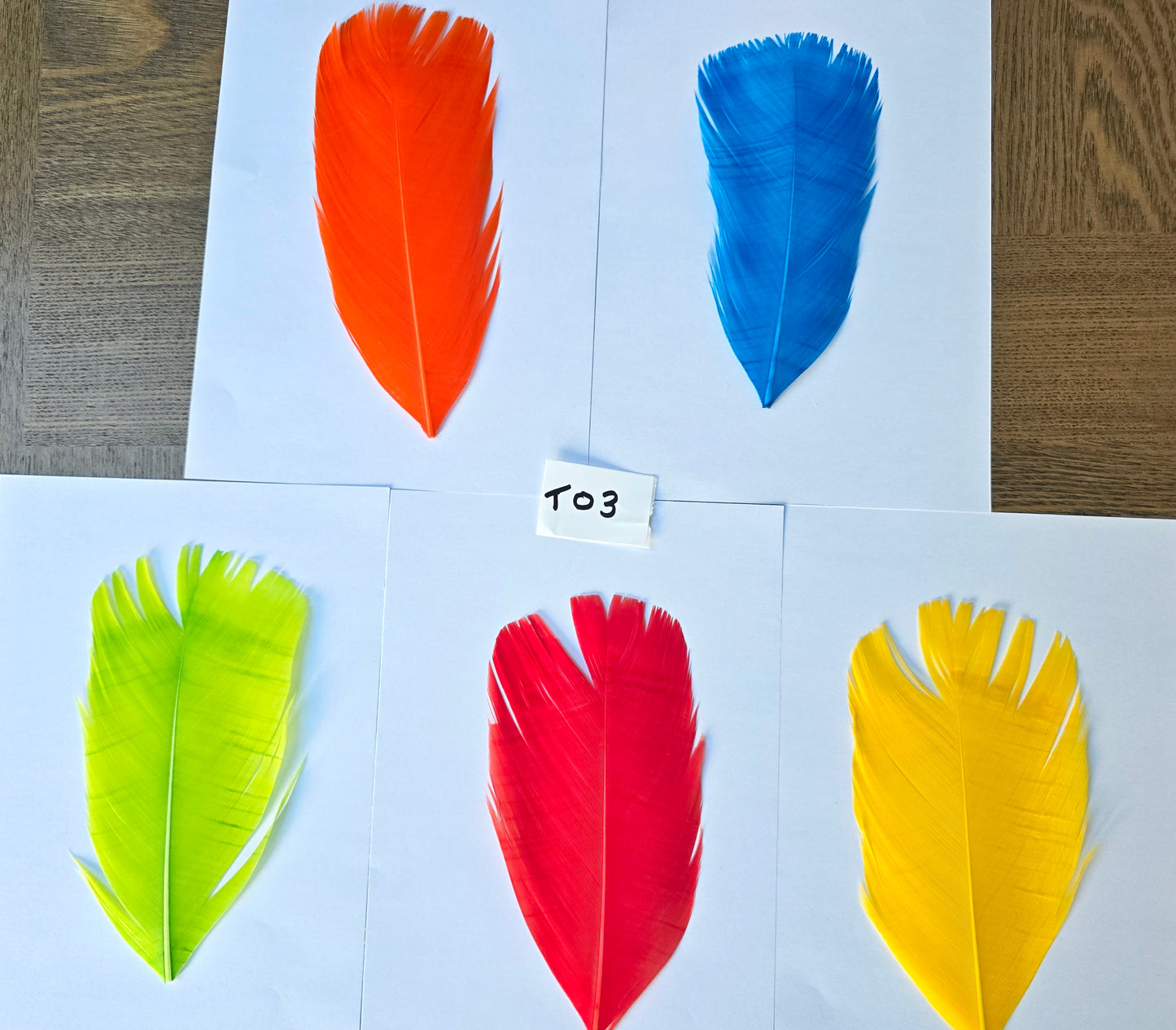 Dyed Turkey tail set