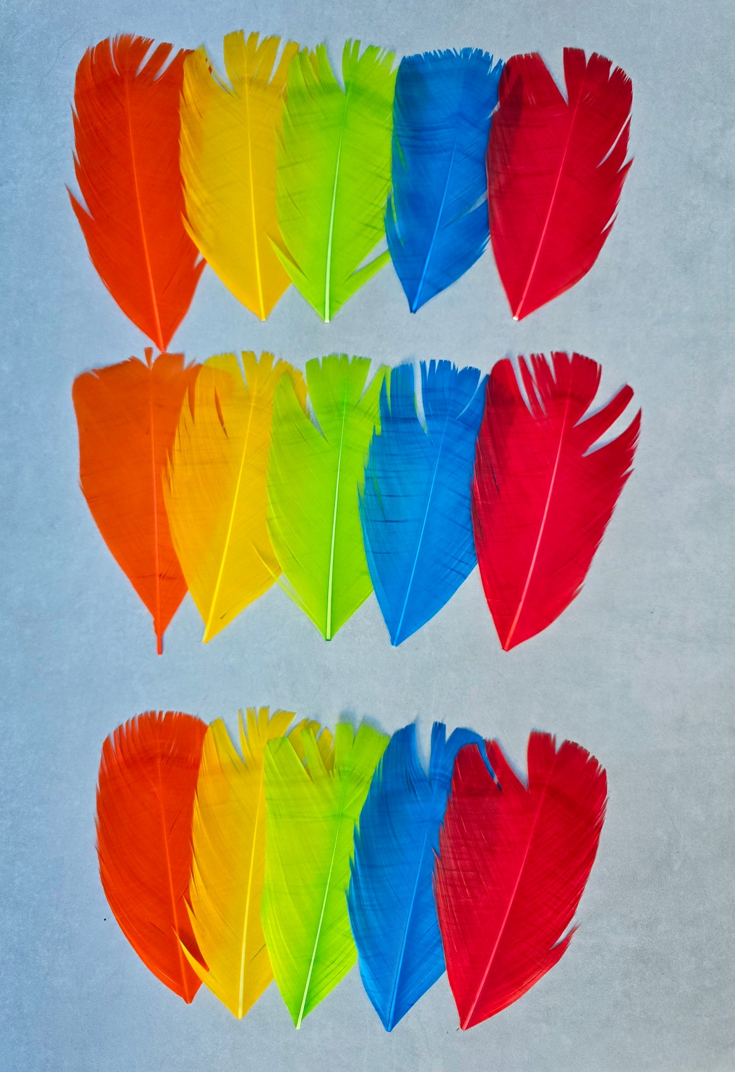 Dyed Turkey tail set