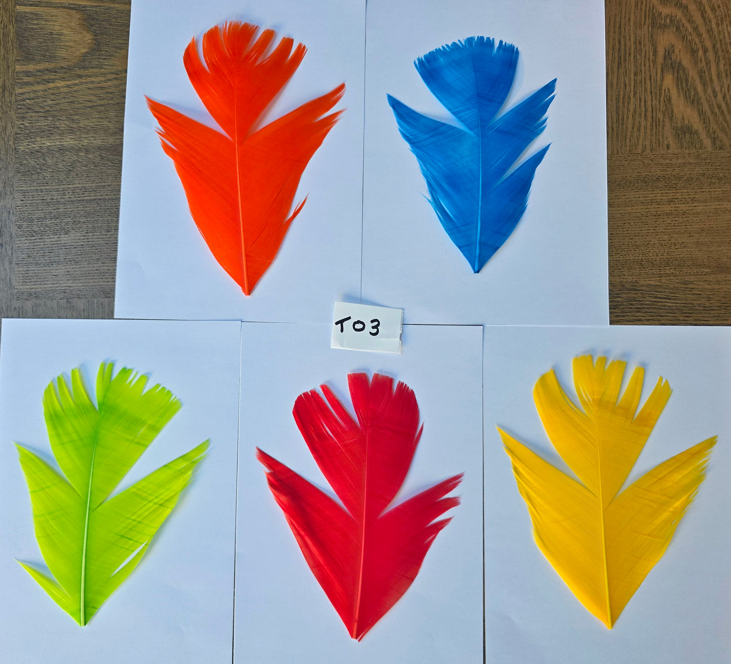 Dyed Turkey tail set