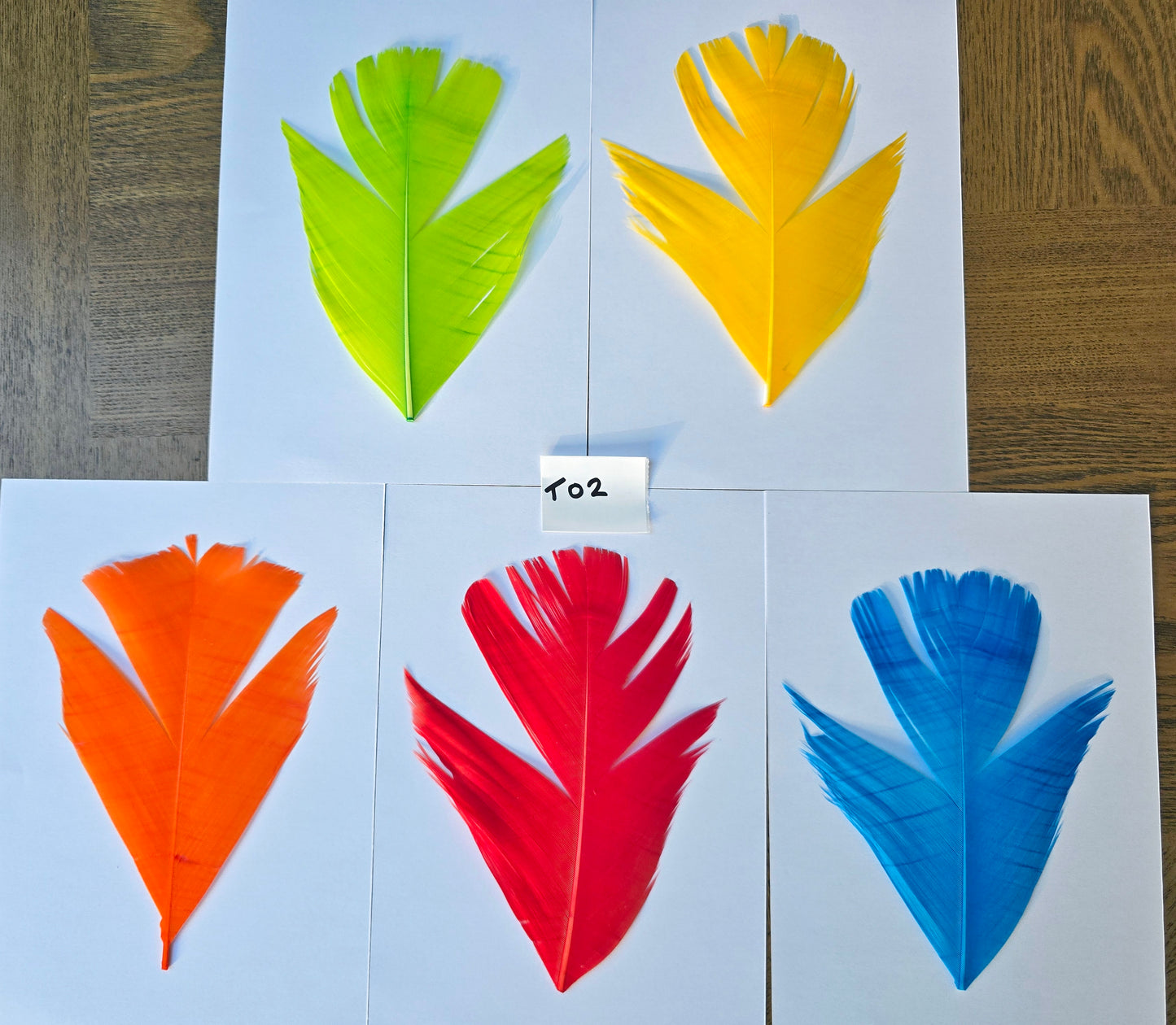 Dyed Turkey tail set