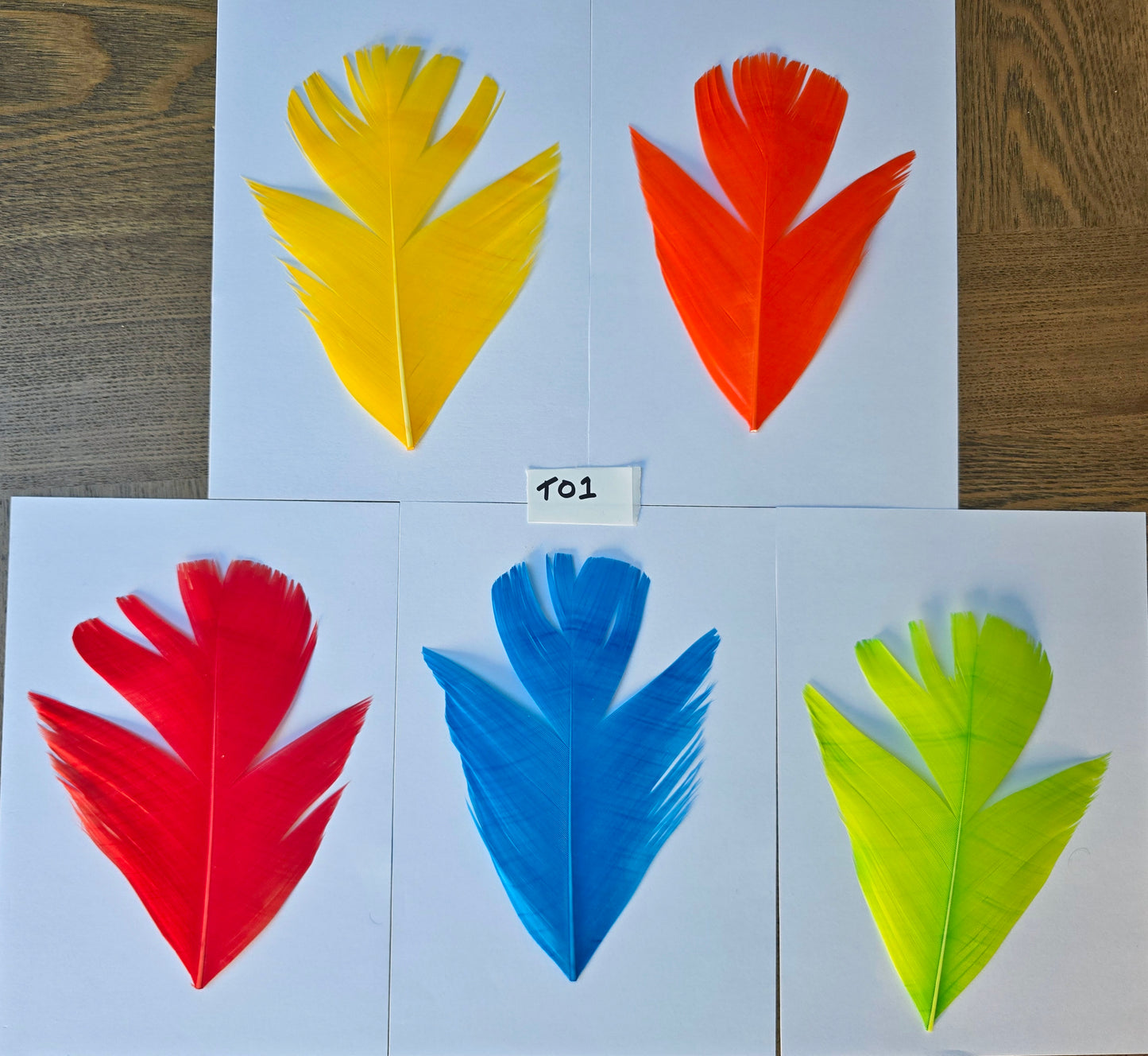 Dyed Turkey tail set