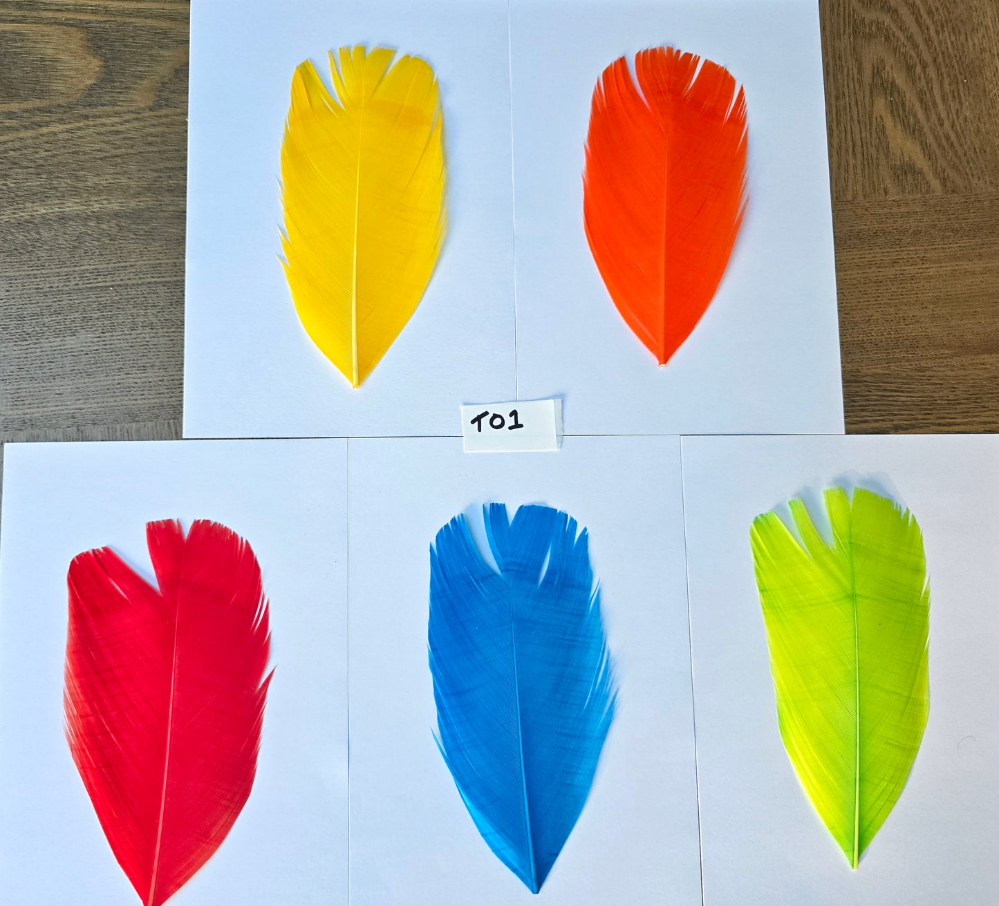 Dyed Turkey tail set