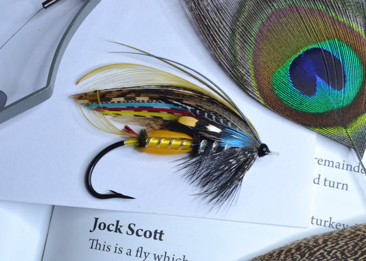 Framed Classic Salmon fly "Jock Scott"
