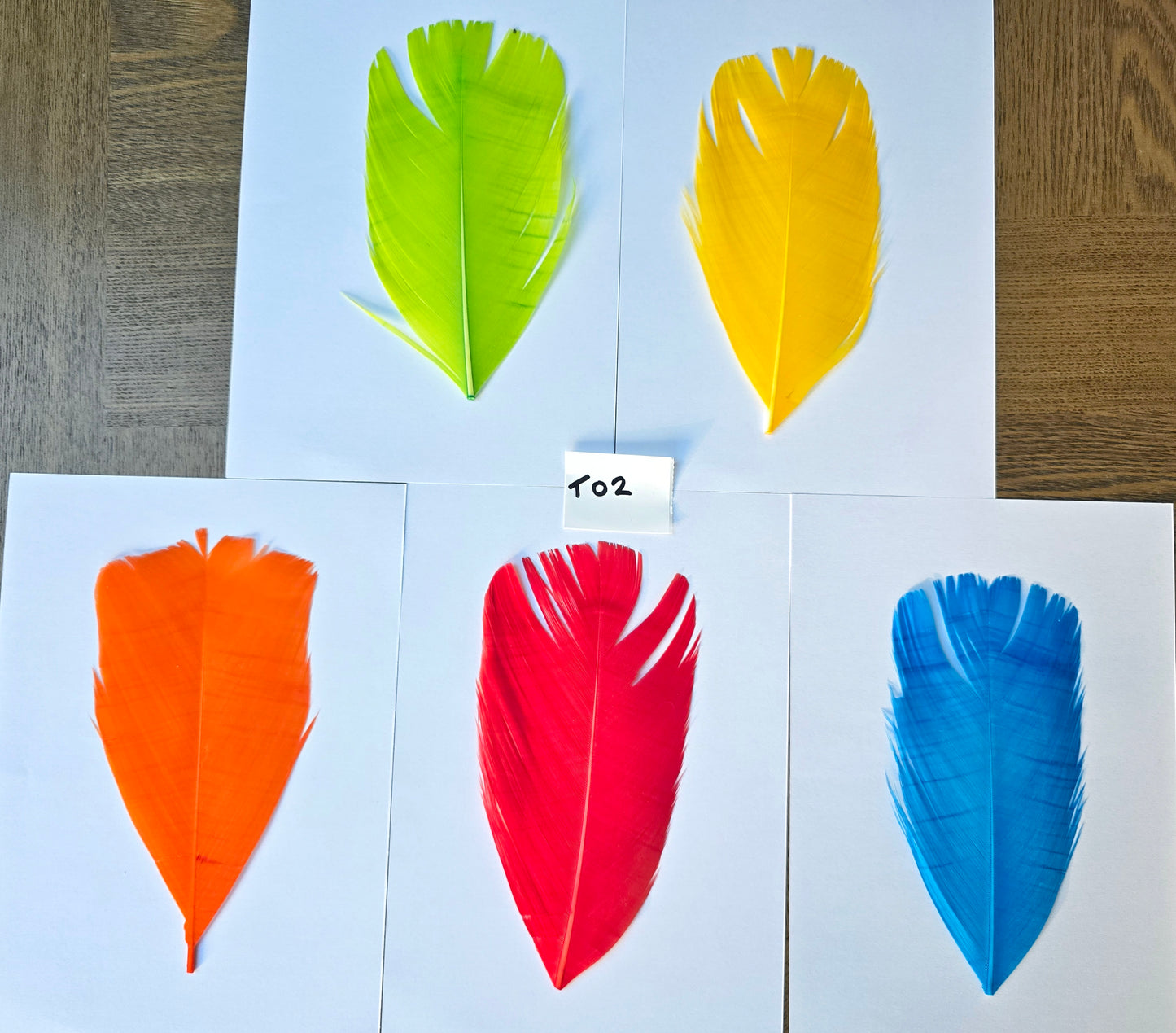 Dyed Turkey tail set